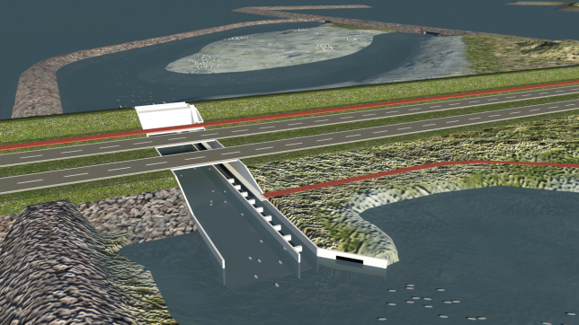 Fish Migration River