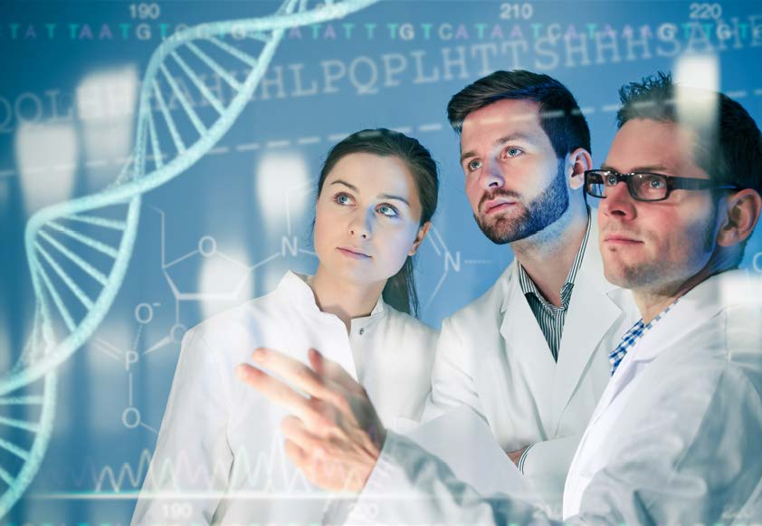 Dutch Digital Health bootcamp kicks off on Design & Impact in Boston and NYC