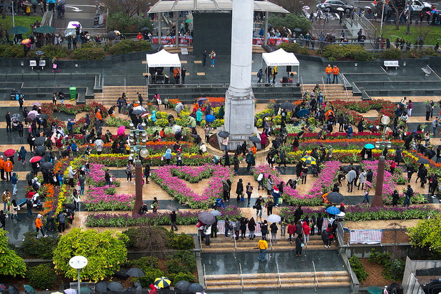 100,000 free tulips turn the heart of San Francisco into a pop-up garden